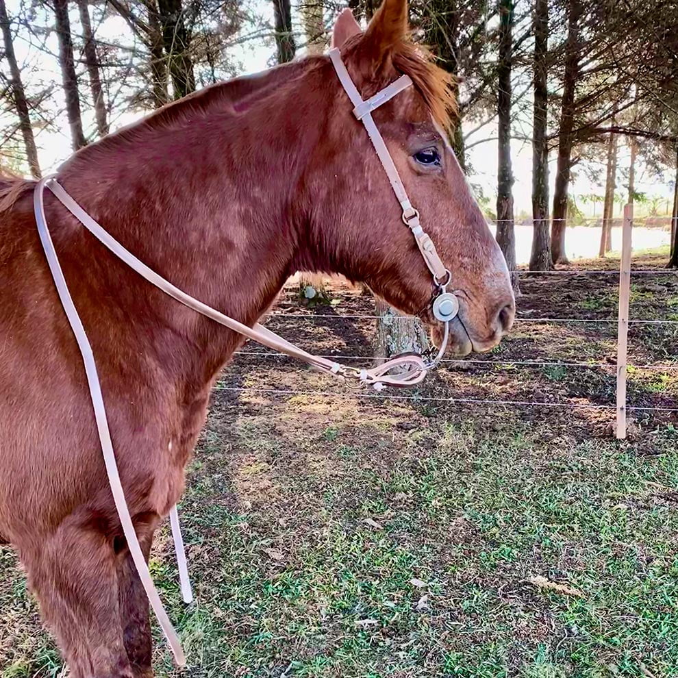 Rédea e Cabeçada em couro para Cavalo